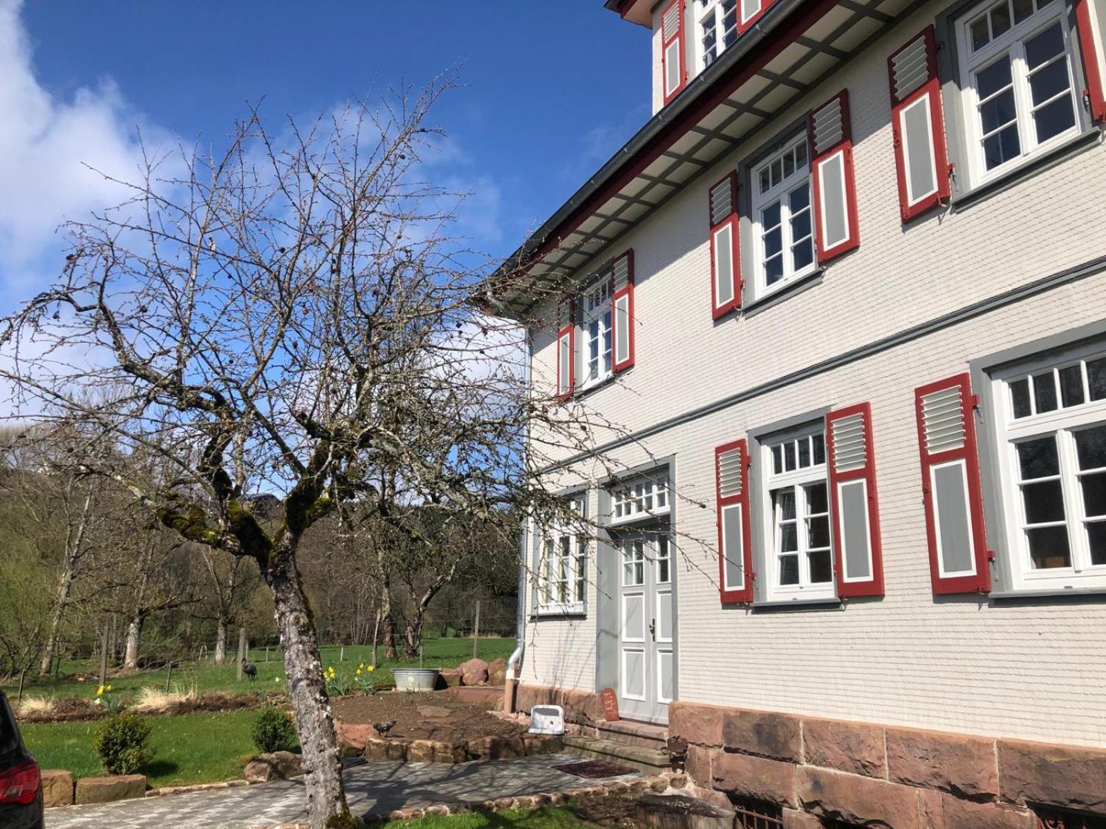 Ferienwohnung Am Stockerbach Φρόιντενσταντ Εξωτερικό φωτογραφία
